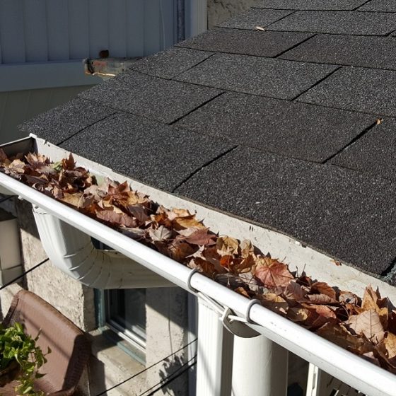 Gutters-Before-2